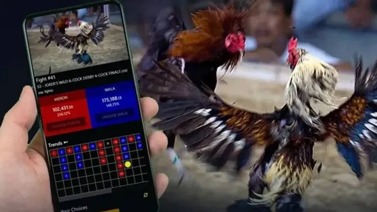 Đá Gà EV99 Đấu Trường Thomo Kịch Tính Đỉnh Cao Trực Tiếp 24/7 1 Đá Gà EV99 Đấu Trường Thomo Kịch Tính Đỉnh Cao Trực Tiếp 24/7